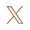 Social Icon